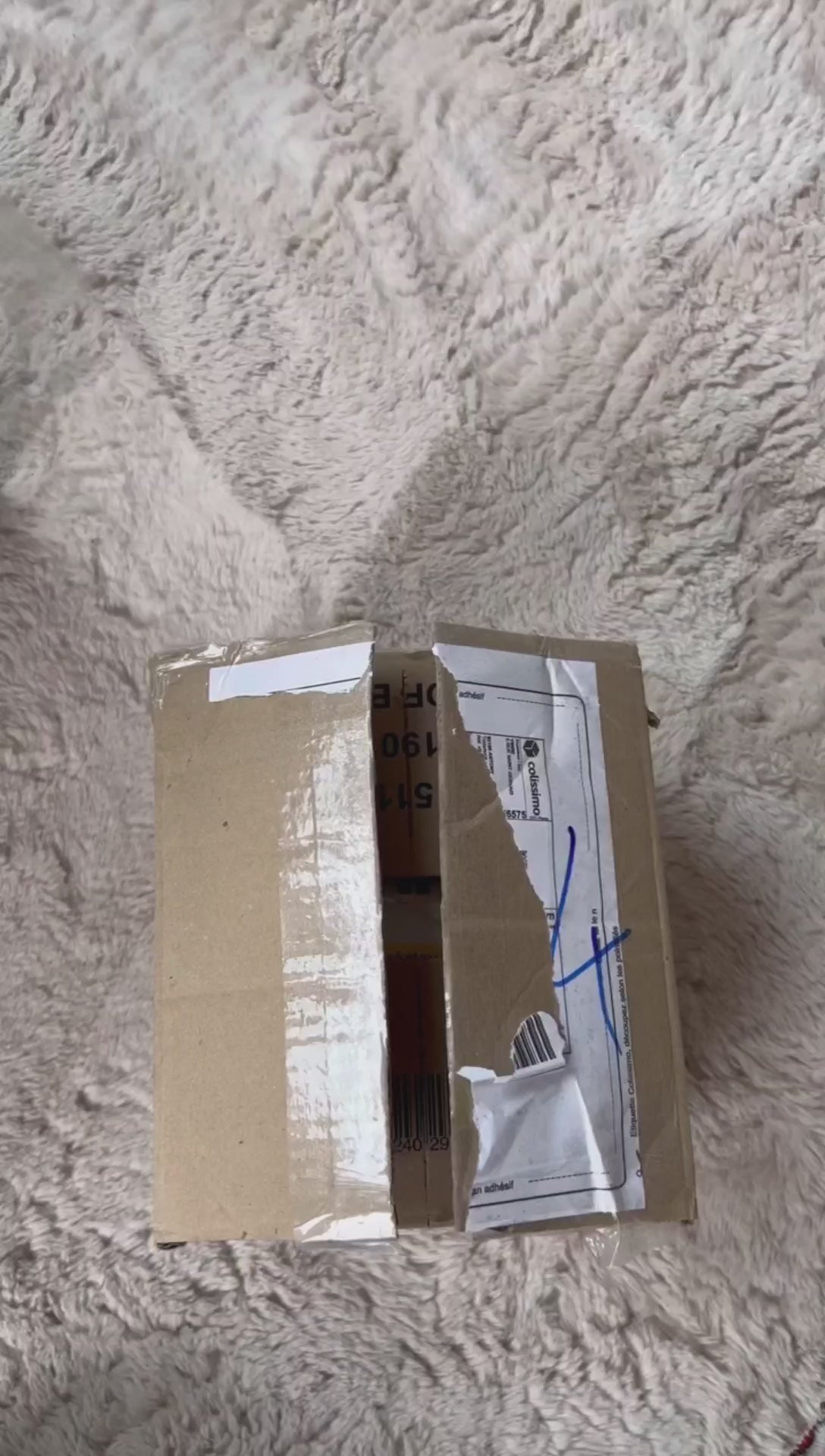 Charger la vidéo : 